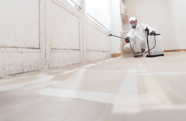 24/7 Emergency Mold Cleanup experts in Bethesda, MD