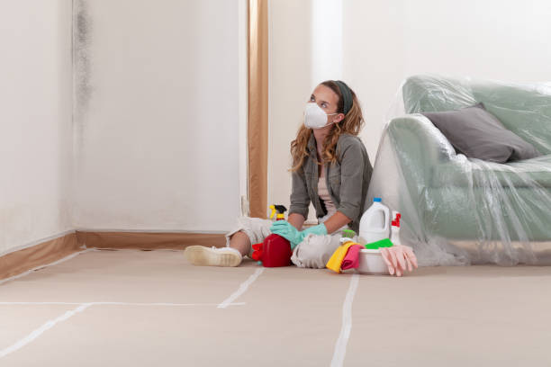 Reliable Mold Cleanup contractor in Bethesda, MD by WQB Mold Removal